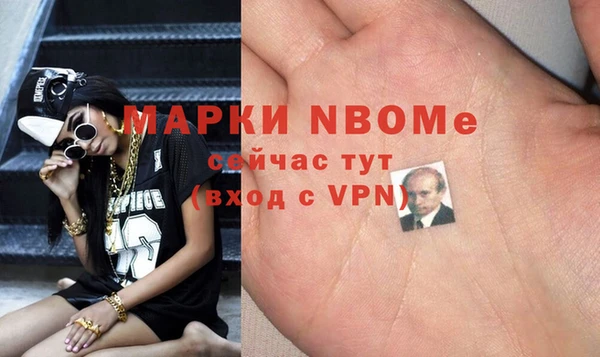 ГАЛЛЮЦИНОГЕННЫЕ ГРИБЫ Балахна