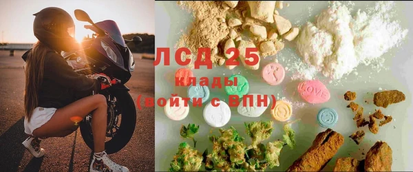 ГАЛЛЮЦИНОГЕННЫЕ ГРИБЫ Балахна