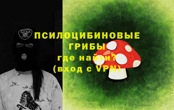 ГАЛЛЮЦИНОГЕННЫЕ ГРИБЫ Балахна
