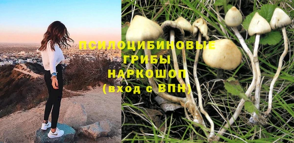 ГАЛЛЮЦИНОГЕННЫЕ ГРИБЫ Балахна